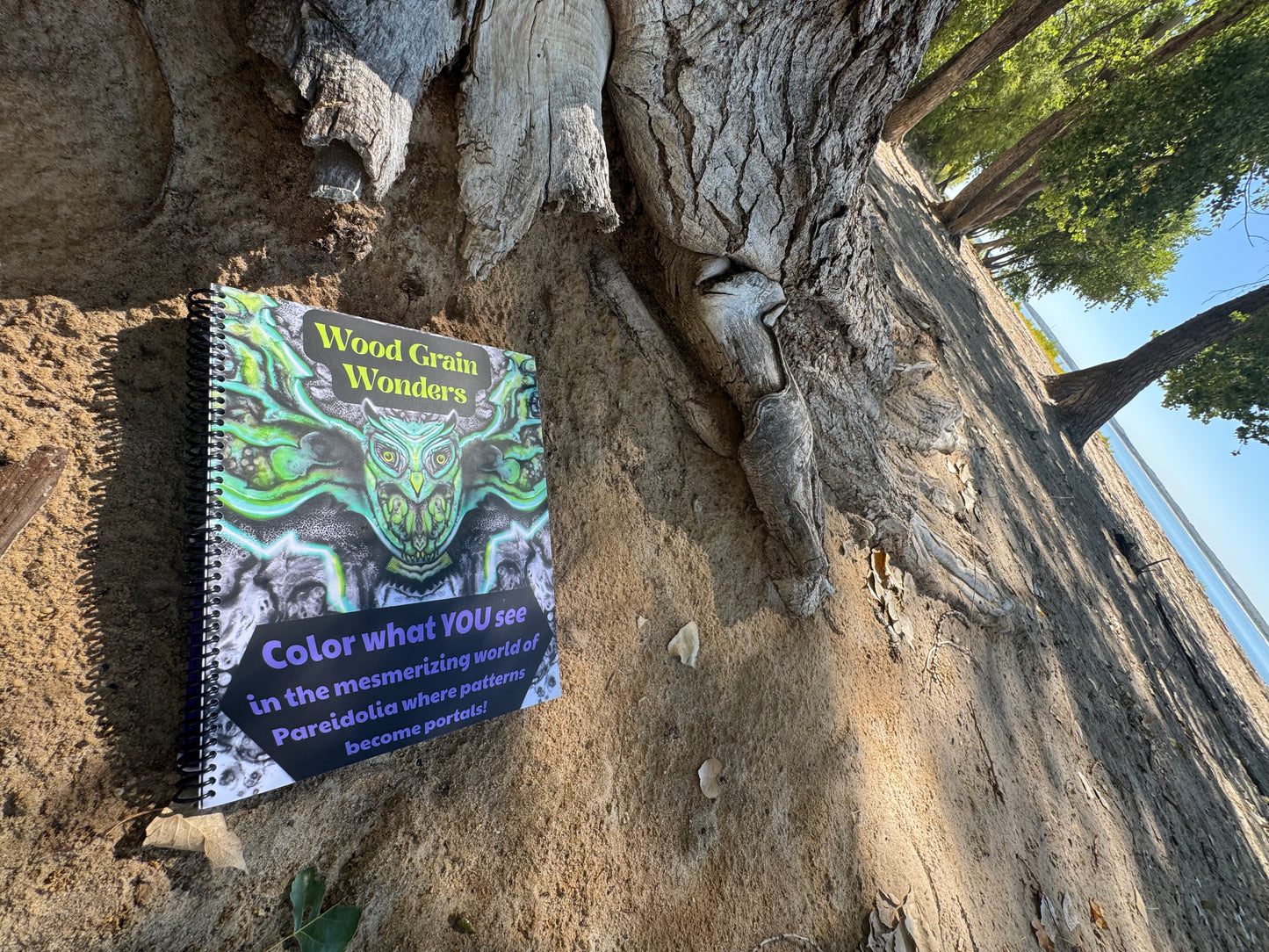 Coloring Book-Wood Grain Wonders (Paint pens NOT included)