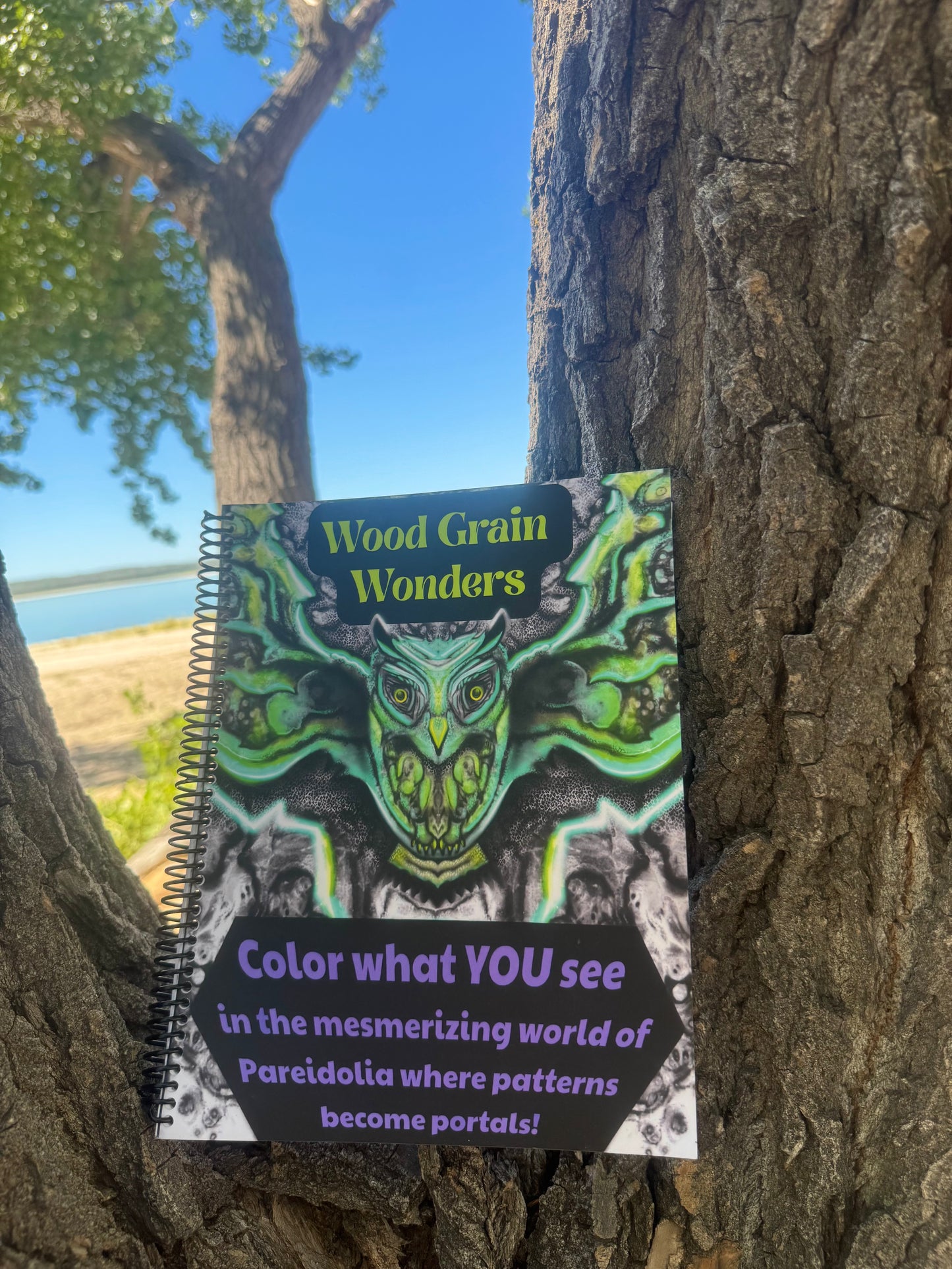 Coloring Book + 24 Paint Pens / Wood Grain Wonders