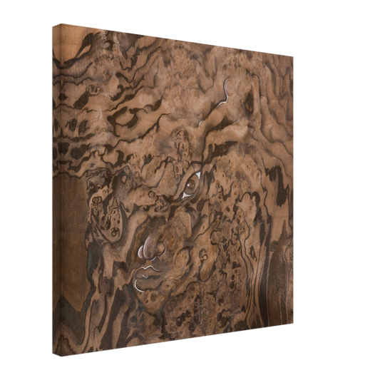 cc04e710-19d7-48e5-953f-8898f1358346